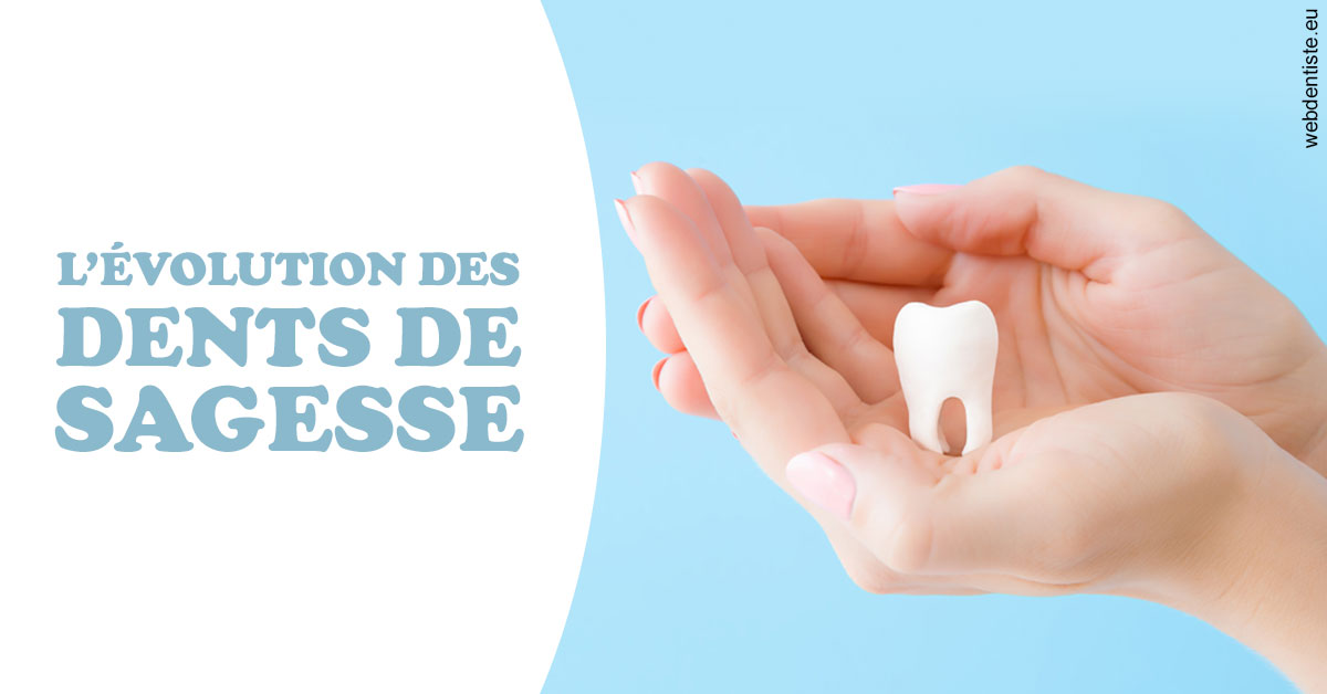 https://selarl-orthodontie-docteur-cuinet.chirurgiens-dentistes.fr/Evolution dents de sagesse 1