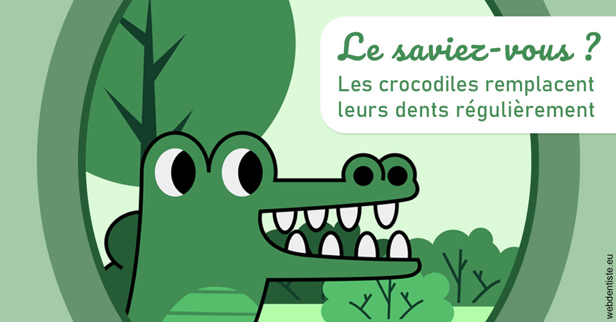 https://selarl-orthodontie-docteur-cuinet.chirurgiens-dentistes.fr/Crocodiles 2