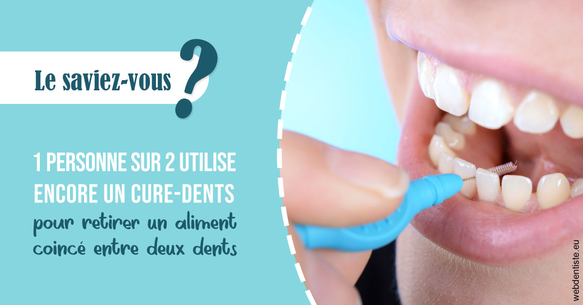https://selarl-orthodontie-docteur-cuinet.chirurgiens-dentistes.fr/Cure-dents 1